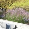 Outsunny Garden Fence, 4 Pack Steel Fence Panels, 11.4' L x 43" H, Rust-Resistant Animal Barrier Decorative Border Flower Edging for Yard, Landscape