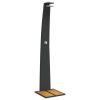Outdoor Shower Black 21.7"x23.6"x88.2" Poly Rattan and Acacia Wood